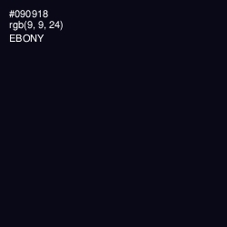 #090918 - Ebony Color Image