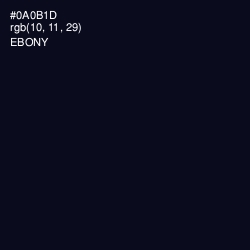#0A0B1D - Ebony Color Image