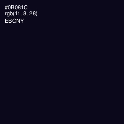 #0B081C - Ebony Color Image