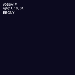 #0B0A1F - Ebony Color Image