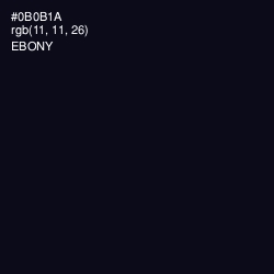 #0B0B1A - Ebony Color Image