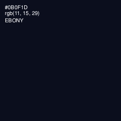 #0B0F1D - Ebony Color Image