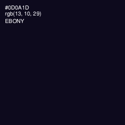 #0D0A1D - Ebony Color Image