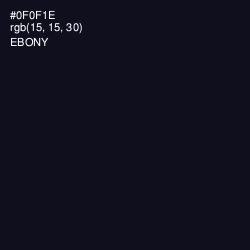 #0F0F1E - Ebony Color Image