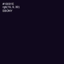 #10091E - Ebony Color Image