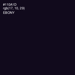 #110A1D - Ebony Color Image