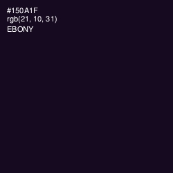#150A1F - Ebony Color Image
