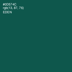 #0D574C - Eden Color Image