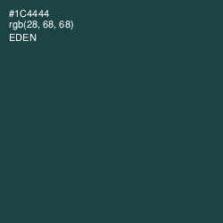 #1C4444 - Eden Color Image