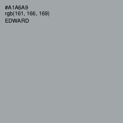 #A1A6A9 - Edward Color Image