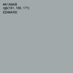 #A1A9AB - Edward Color Image