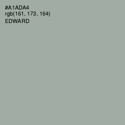 #A1ADA4 - Edward Color Image