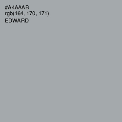 #A4AAAB - Edward Color Image