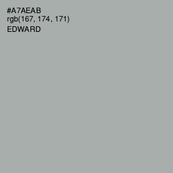 #A7AEAB - Edward Color Image