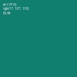 #117F70 - Elm Color Image