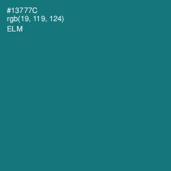 #13777C - Elm Color Image