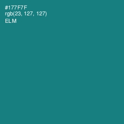 #177F7F - Elm Color Image