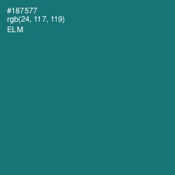 #187577 - Elm Color Image