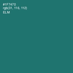 #1F7470 - Elm Color Image