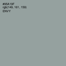 #95A19F - Envy Color Image