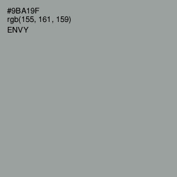 #9BA19F - Envy Color Image