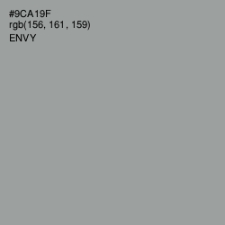 #9CA19F - Envy Color Image