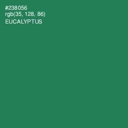#238056 - Eucalyptus Color Image