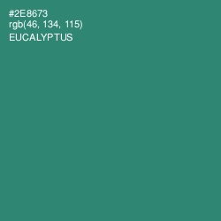 #2E8673 - Eucalyptus Color Image
