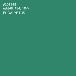 #30866B - Eucalyptus Color Image