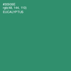 #30906E - Eucalyptus Color Image