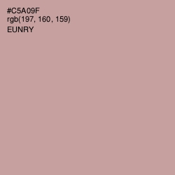 #C5A09F - Eunry Color Image