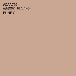 #CAA792 - Eunry Color Image