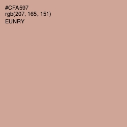#CFA597 - Eunry Color Image