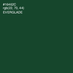 #16462C - Everglade Color Image