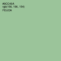 #9CC49A - Feijoa Color Image
