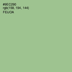 #9EC290 - Feijoa Color Image