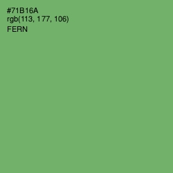 #71B16A - Fern Color Image