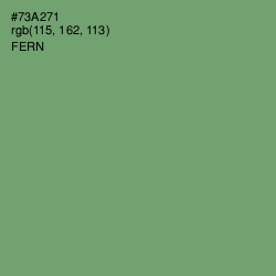 #73A271 - Fern Color Image