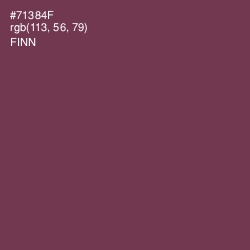 #71384F - Finn Color Image