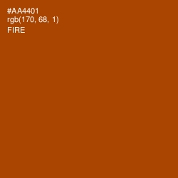 #AA4401 - Fire Color Image