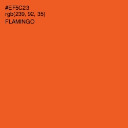 #EF5C23 - Flamingo Color Image