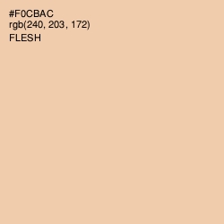#F0CBAC - Flesh Color Image