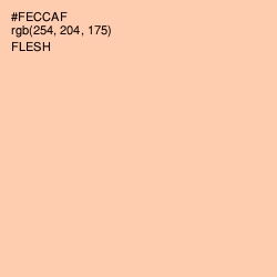 #FECCAF - Flesh Color Image