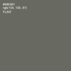 #686961 - Flint Color Image