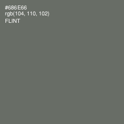 #686E66 - Flint Color Image