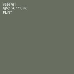 #686F61 - Flint Color Image