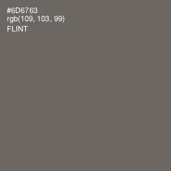 #6D6763 - Flint Color Image