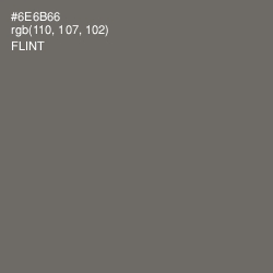 #6E6B66 - Flint Color Image