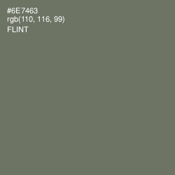 #6E7463 - Flint Color Image