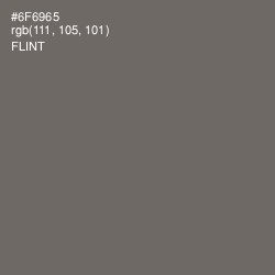#6F6965 - Flint Color Image
